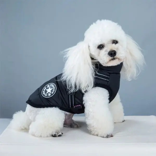 Hundejacke mit integriertem Hundegeschirr