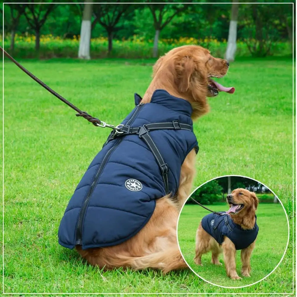 Hundejacke mit integriertem Hundegeschirr