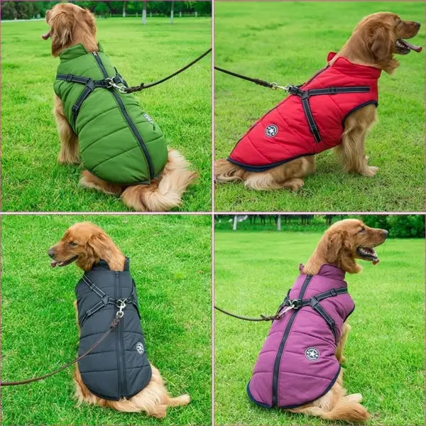 Hundejacke mit integriertem Hundegeschirr